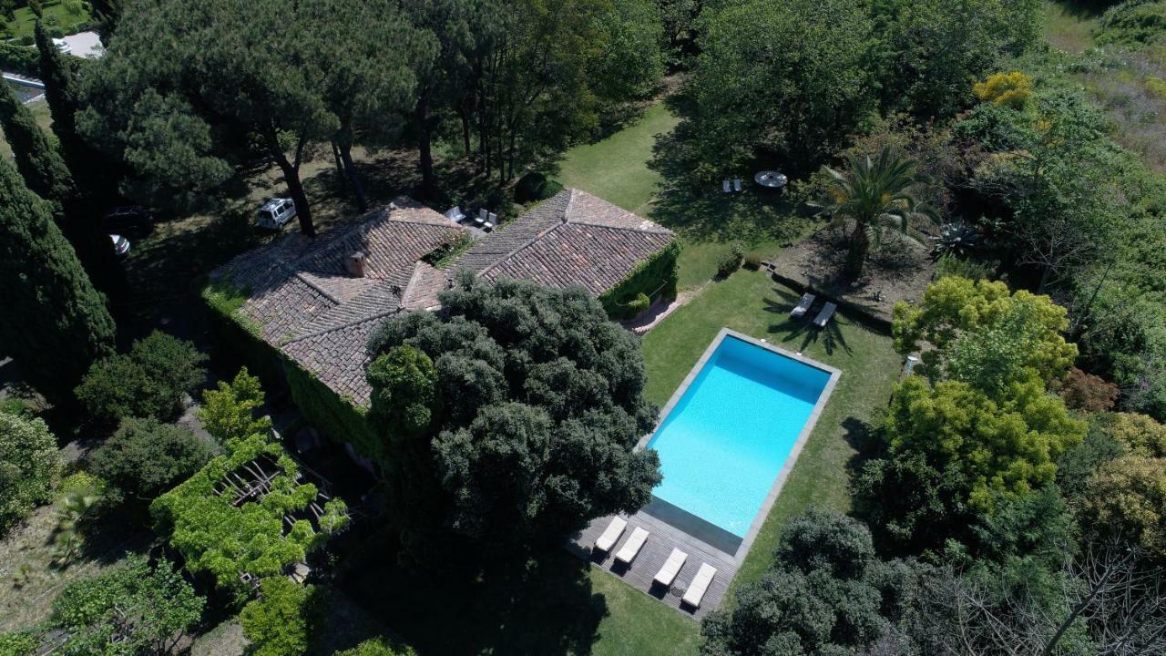 Villa Edera Viagrande Exterior foto